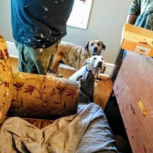 Meet your Posher, Nell